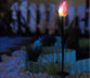 2 Tulipes lumineuses solaires à LED - x2
