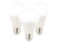 3 ampoules LED à économie d'énergie
