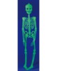 Squelette phosphorescent - 90 cm