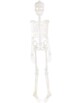Squelette phosphorescent - 90 cm