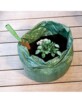 Femme en action plantant des tubercules dans un sac de culture sur terrasse