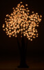 Vue de nuit de l'éclairage à LED du cerisier Luminea