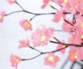 Vue sur l'éclairage des fleurs du cerisier avec 384 fleurs lumineuses