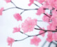 Vue sur les fleurs du cerisier avec 384 fleurs lumineuses