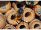 Mise en situation du nid pour insectes Royal Gardineer, format moyen, modèle Flora, fixé à une poutre en bois d'un préau situé à côté d'une forêt