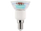 Ampoule 60 LED SMD E14 3,3 W -  blanc neutre