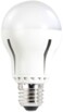 Ampoule LED E27 12 W dimmable, super Intensité - Blanc lumière du jour