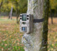 Mini caméra nature HD PIR WK-550.mini