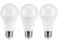 ampoules LED à faible consommation 