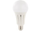 2 ampoules LED E27 High Power 23 W - 2452 lm - Blanc lumière du jour