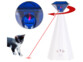 Pointeur laser automatique pour chat