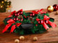 Couronne de l'Avent coloris rouge posée sur une table de salon en bois à côté de noix entières devant un sapin de Noël décoré de guirlandes lumineuses et décorations de Noël