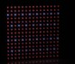 Lampe LED de culture au mélange savamment dosé entre les LED rouges et les LED bleuesvue sur le mélange savamment dosé entre les LED rouges et les LED bleues