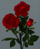 Rosier LED 3 fleurs rouge 50cm