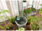Système d'irrigation automatique pour plantes d'intérieur (reconditionné)