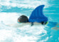 Flotteur de natation gonflable design aileron de requin