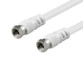 Câble coaxial avec fiche F