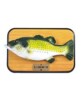 Le Poisson Qui Chante