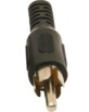 Adaptateur S/Video F/Cinch M