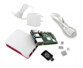 Détail du kit Raspberry Pi 4, 1 carte micro SD (32 Go), 1 alimentation pour Pi 4, câble Micro-HDMI vers HDMI et 3 dissipateurs de chaleur