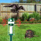Illustration du type d'animaux éloigné par les ultrasons de l'anti-nuisibles Genius Ideas avec un corbeau et un rat à côté de l'anti-nuisible planté dans le sol d'un jardin devant une clôture en bois 