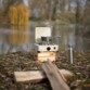 Camping-gaz installé sur une cagette en bois devant un plan d'eau avec couvercle protégeant la casserole sur le feu du vent