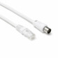 Câble RJ45 cat. 6 mâle vers coaxial mâle - 2 m