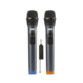 2 microphones karaoké sans fil avec récepteur rechargeable
