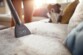 Aspirateur traîneau sans sac Philips 2000 Series 850 W blanc XB2142/09