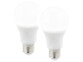 Deux ampoules LED E27 blanc lumière du jour avec une luminosité de 1000 lumens.