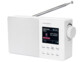 Radio mobile numérique DAB+/FM 6W avec bluetooth & écran couleur DOR-310 - Blanc