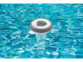 Mise en situation d'un thermomètre numérique PT-310 immergé aux trois-quarts dans l'eau d'un bassin