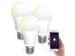 3 ampoules LED LAV-110.w. Contrôle par application gratuite Android / iOS