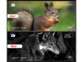 Jumelles de vision nocturne avec Vision avec grossissement optique 6x, zoom numérique 8x