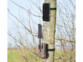 Caméra nature avec antenne 4G alimentée par panneau solaire installée à un tronc d'arbre en pleine nature