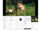 Diverses captures d'écran avec affichage de l'image en direct de l'application de domotique gratuite ELESION