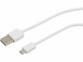 Câble USB-C vers USB-A blanc pour chargement de la batterie rechargeable de l'appareil sous-vide