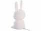 veilleuse LED RVBB lapin 