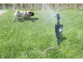 Mise en situation de l'anti-nuisible à jet d'eau dans un jardin repoussant un chien marchant sur la pelouse