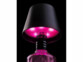 Lampe LED RVBB rechargeable pour goulot de bouteille