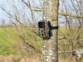 Mini caméra nature Full HD WK-430.mini (reconditionnée)