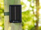 Panneau solaire avec batterie 3000 mAh pour caméra nature montage sur un arbre