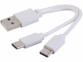 Petit câble de chargement 2 x USB-C vers USB-A coloris blanc