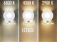 éclairage magnétique rechargeable LED CCT luminosité variable 