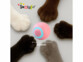 Jouet lumineux rechargeable pour chat