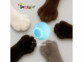 Jouet lumineux rechargeable pour chat