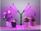 Lampe mobile LED à 4 cols de cygne éclairant des plantes en pots d'une lumière violette