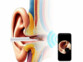 Nettoyeur d'oreille connecté WOR-300 avec caméra 5 Mpx