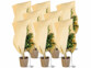 Pack de 8 housses d'hivernage taille L de la marque Royal Gardineer