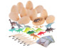 kit de fouilles avec 12 oeufs de dinosaures en plâtre et fiches 